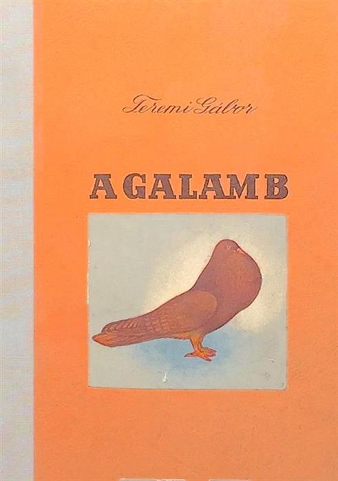 A galamb/Porumbelul
