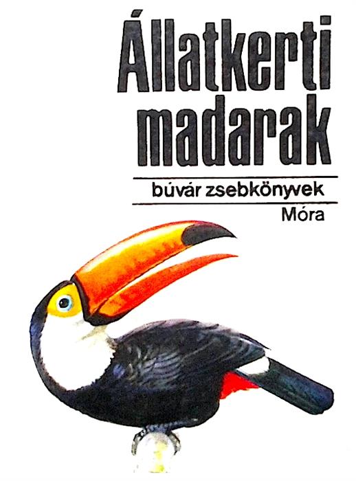 Allatkerti madarak