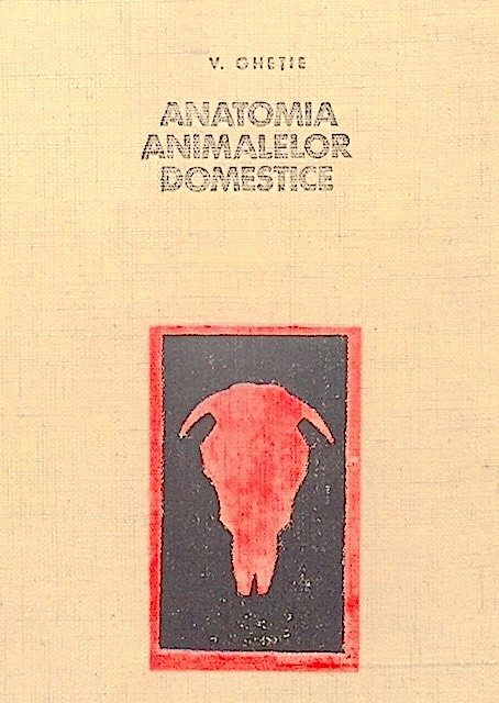 Anatomia animalelor domestice