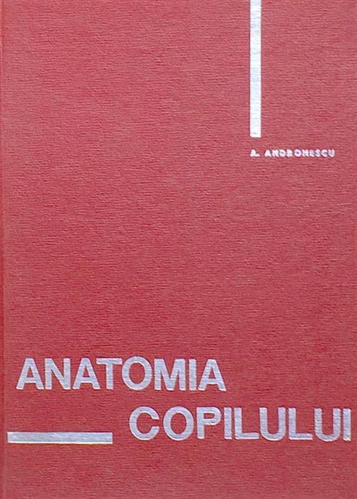 Anatomia copilului