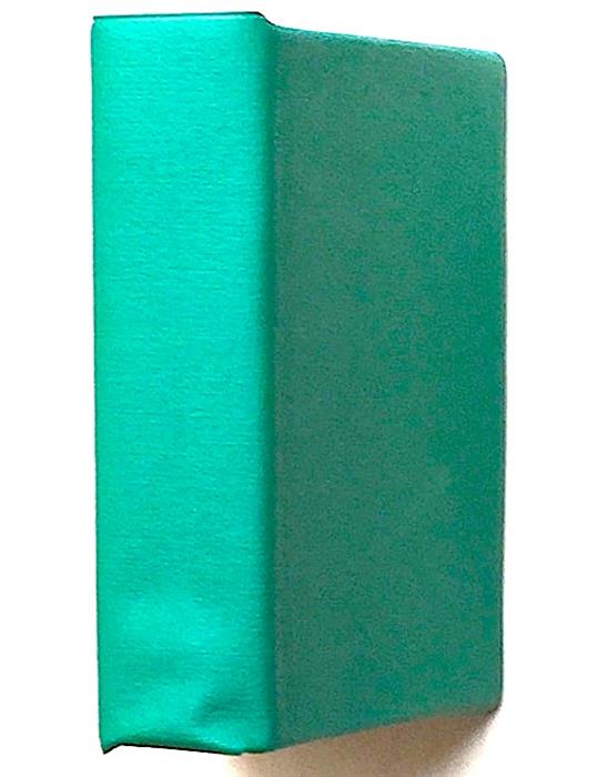 Biblia in limba rusa