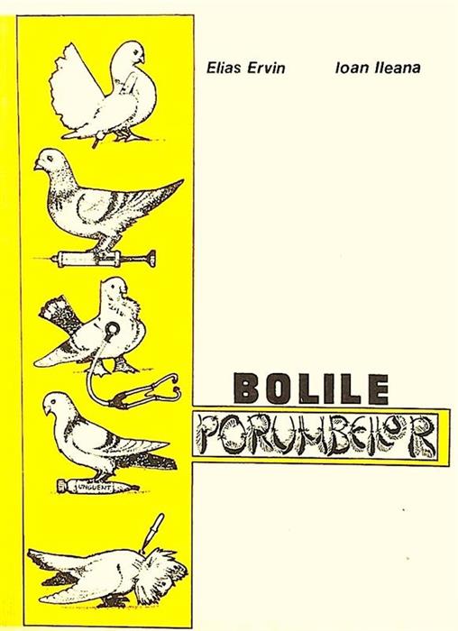 Bolile porumbeilor