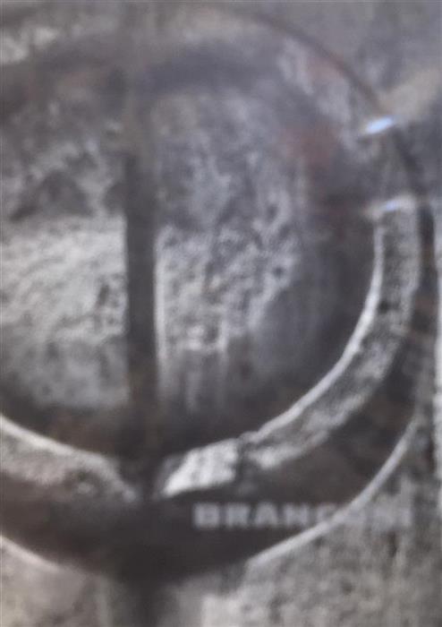 Brancusi [album de arta]