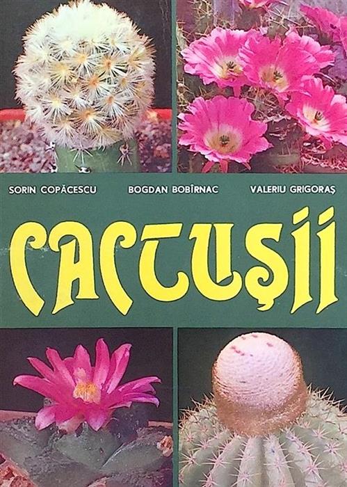 Cactusii