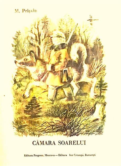 Camara soarelui
