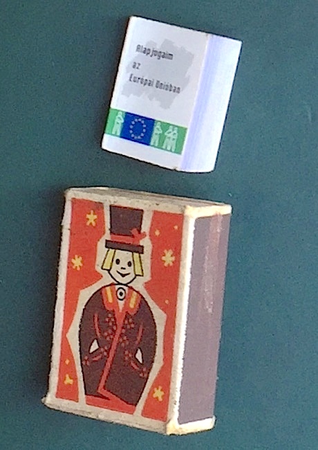 goose Street address rare Carte in miniatura / format liliput: Drepturile mele fundamentale in  Uniunea Europeana