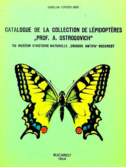 Catalogue de la collection de lepidopteres "Prof. A. Ostrogovich"