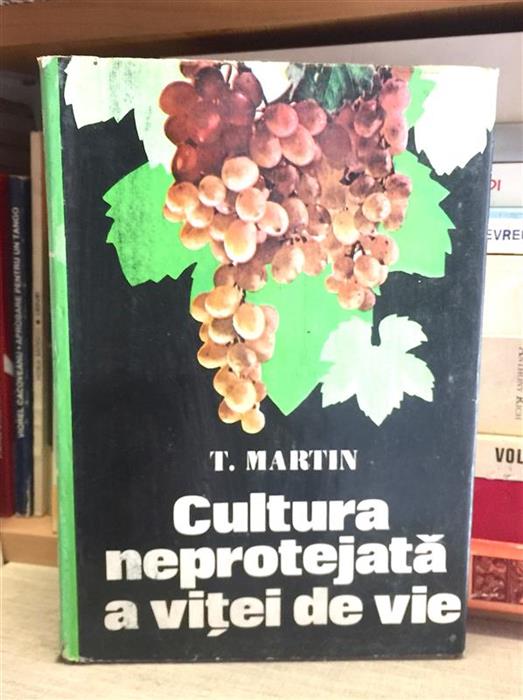 Cultura neprotejata a vitei de vie