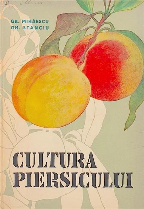 Cultura piersicului