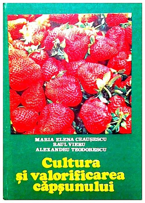 Cultura si valorificarea capsunului