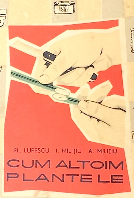 Cum altoim plantele