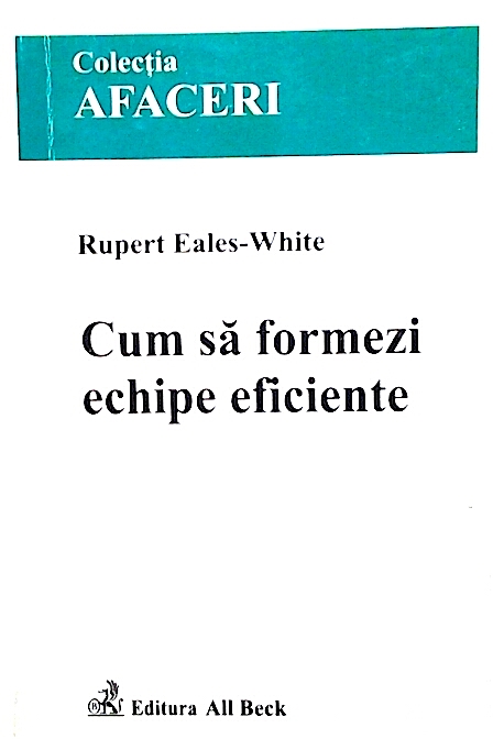 Cum sa formezi echipe eficiente