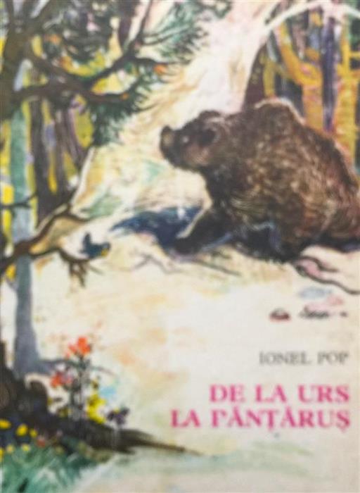 De la urs la pantarus