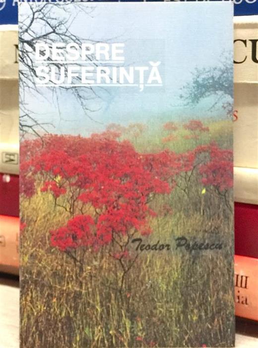Despre suferinta