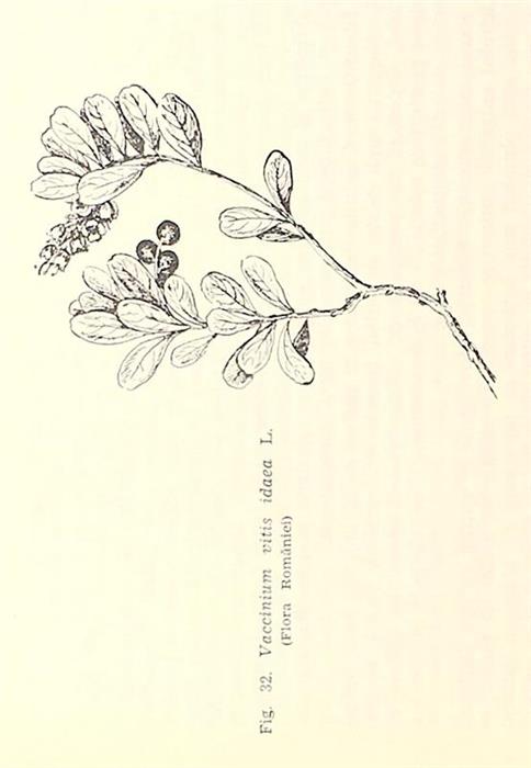 Farmacognozie
