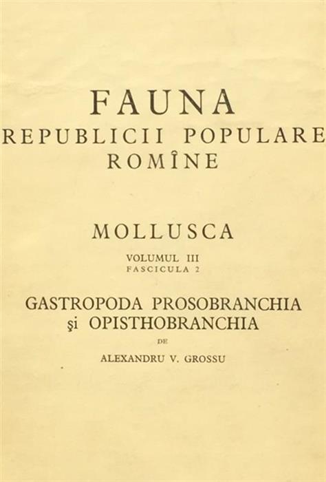 Fauna RPR Molluca vol.III fasc. 2 Gastropoda Prosobranchia si Opisthobranchia