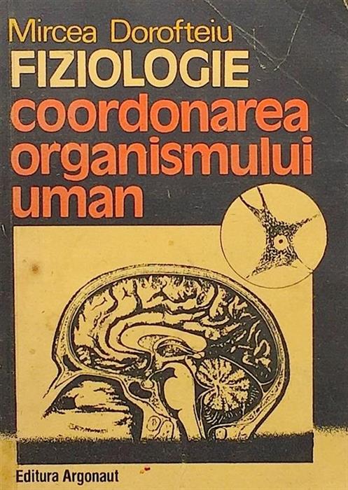 Fiziologie. Coordonarea organismului uman