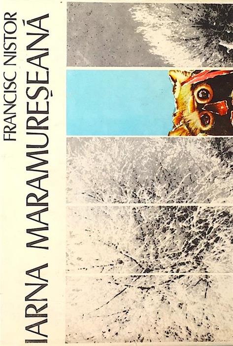 Iarna maramureseana
