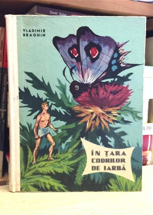 In tara codrilor de iarba