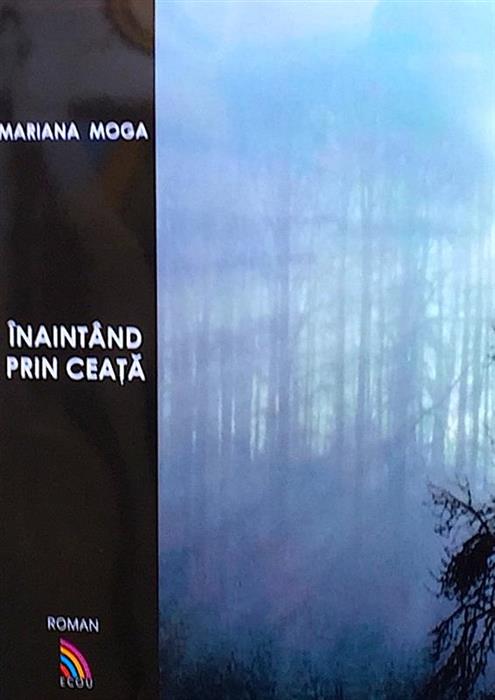 Inaintand prin ceata