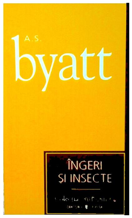 Ingeri si insecte