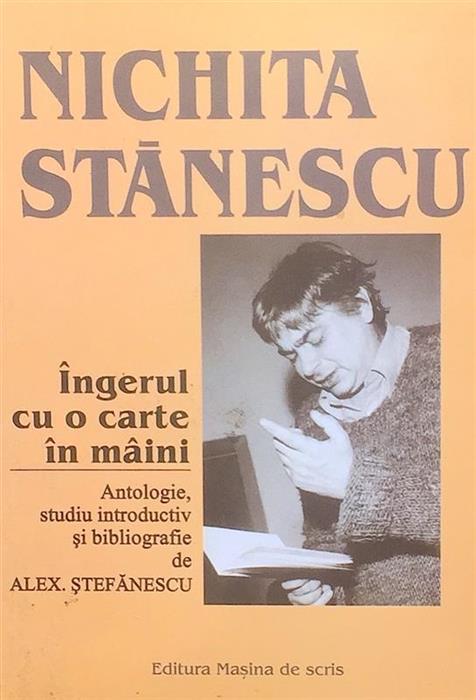 Ingerul cu o carte in maini