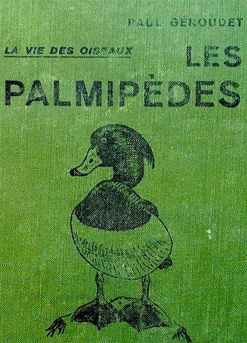 La vie des oiseaux: Les palmipedes