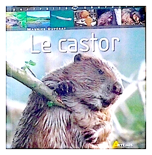 Le castor