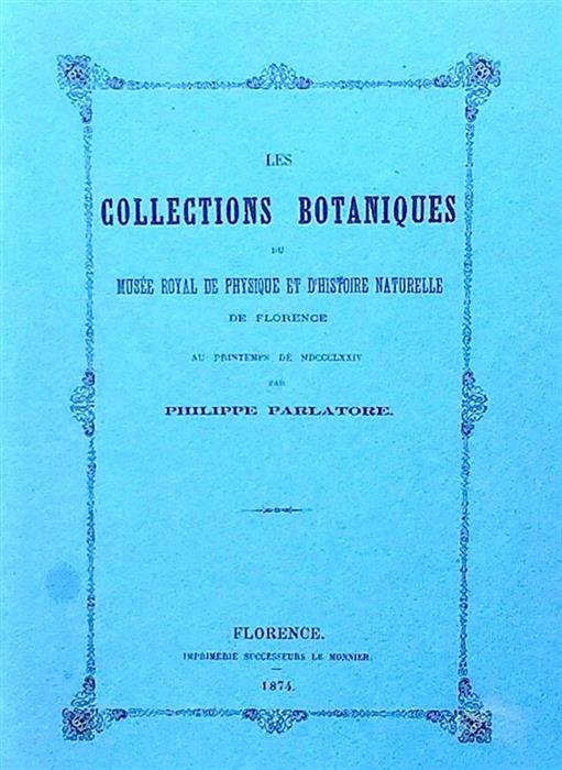Les collections botaniques du Musee royal de physique et d'histoire naturelle de Florence