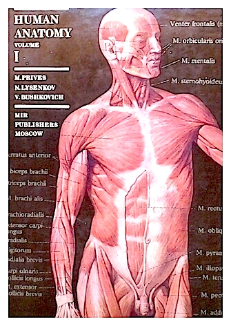 M. Prives - N. Lysenkov - V. Bushkovich