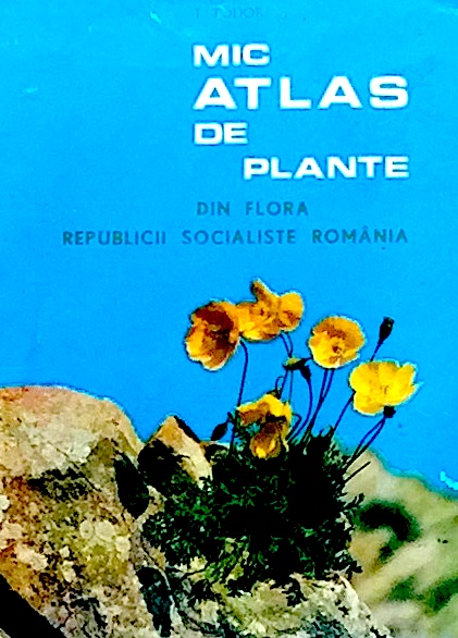 Mic atlas de plante din flora RSR
