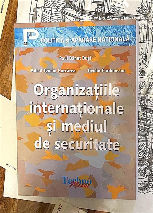 Organizatiile internationale si mediul de securitate