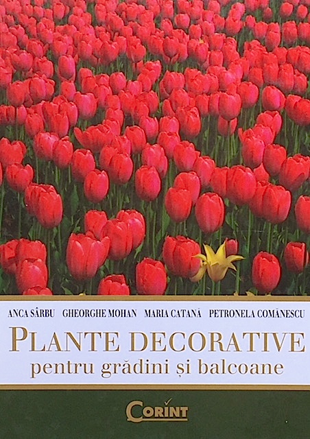 Plante decorative pentru gradini si balcoane