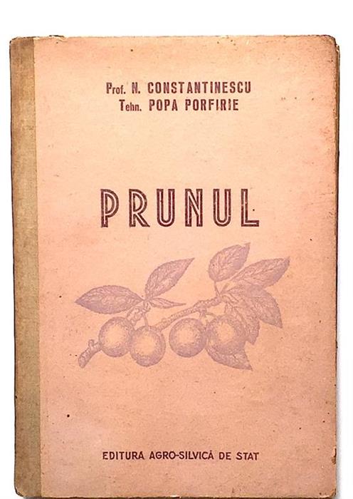 Prunul