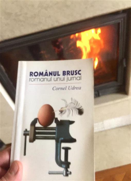 Romanul brusc. Romanul unui jurnal