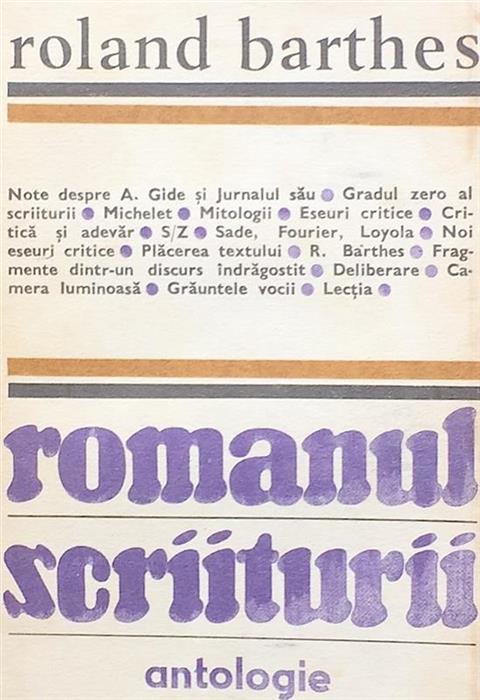 Romanul scriiturii