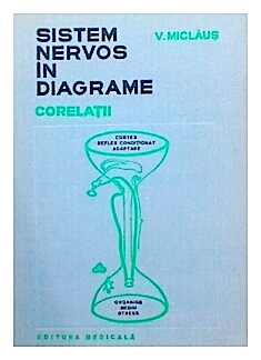 Sistem nervos in diagrame - corelatii