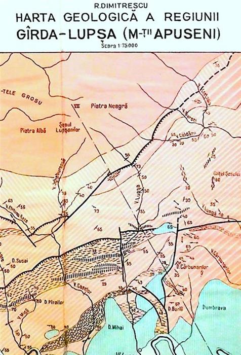 Studiu geologic si petrografic al regiunii dintre Garda si Lupsa