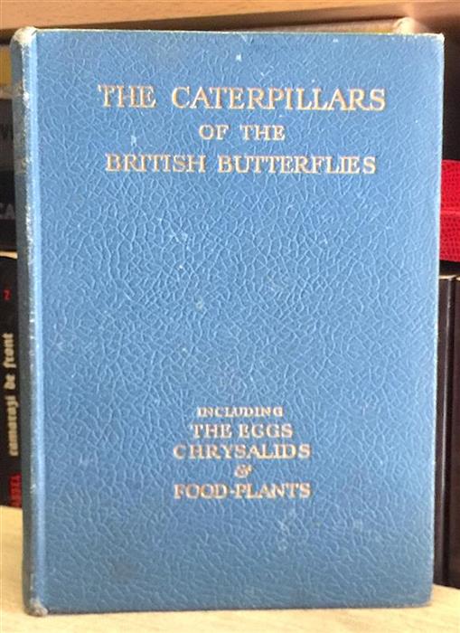 The Caterpillars of the British Butterflies. Including the Eggs, Chrysalids and Food-Plants