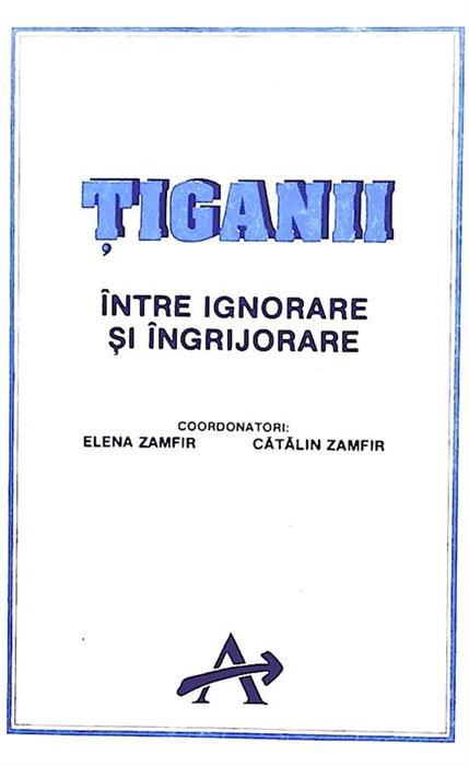 Tiganii - intre ignorare si ingrijorare