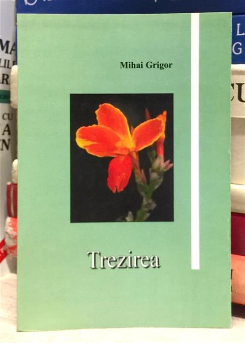 Trezirea
