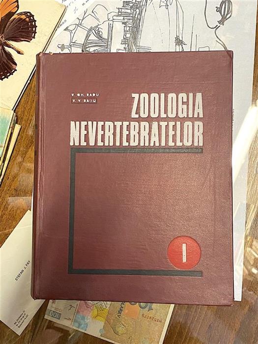 Zoologia nevertebratelor