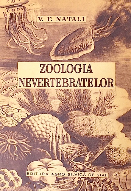 Zoologia nevertebratelor