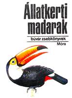 Allatkerti madarak