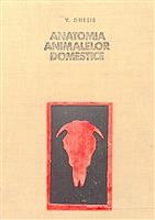 Anatomia animalelor domestice