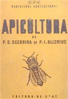 Apicultura