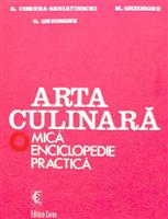 Arta culinara - Mica enciclopedie practica