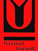 Bazinul Baraolt - ghid turistic