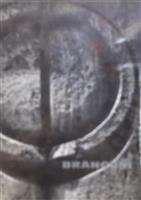 Brancusi [album de arta]