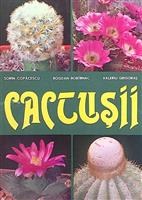 Cactusii